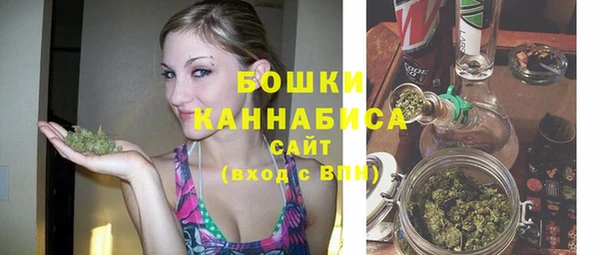 индика Кодинск