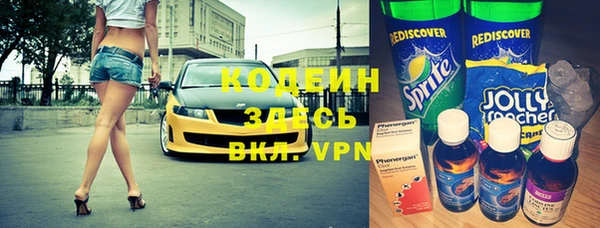 индика Кодинск