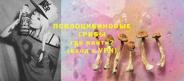 таблы Козельск