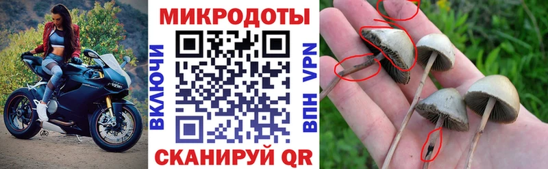 Псилоцибиновые грибы мухоморы  наркошоп  Сызрань 