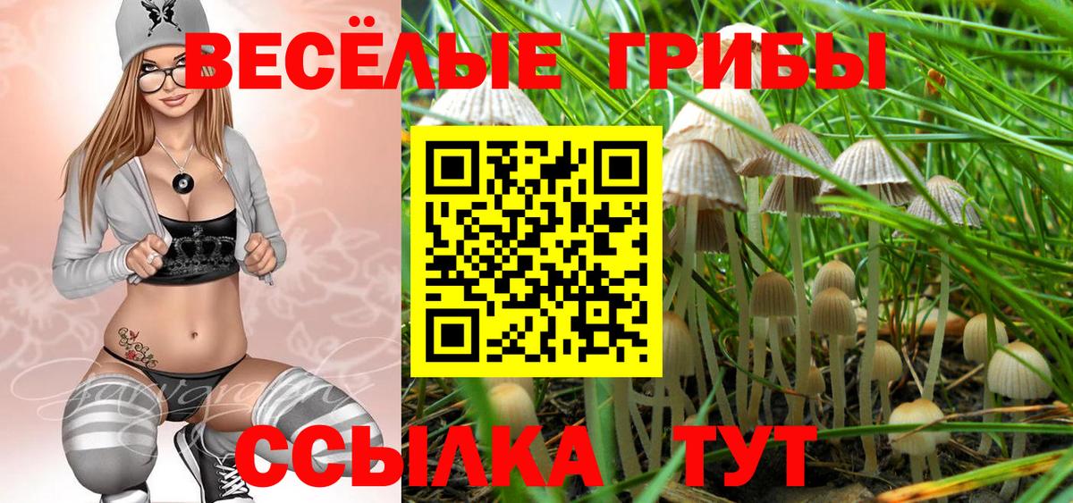 Псилоцибиновые грибы ЛСД Сызрань