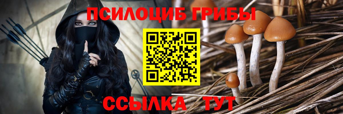 Галлюциногенные грибы мицелий  Вход с VPN  Псилоцибиновые грибы Cubensis  Сызрань 